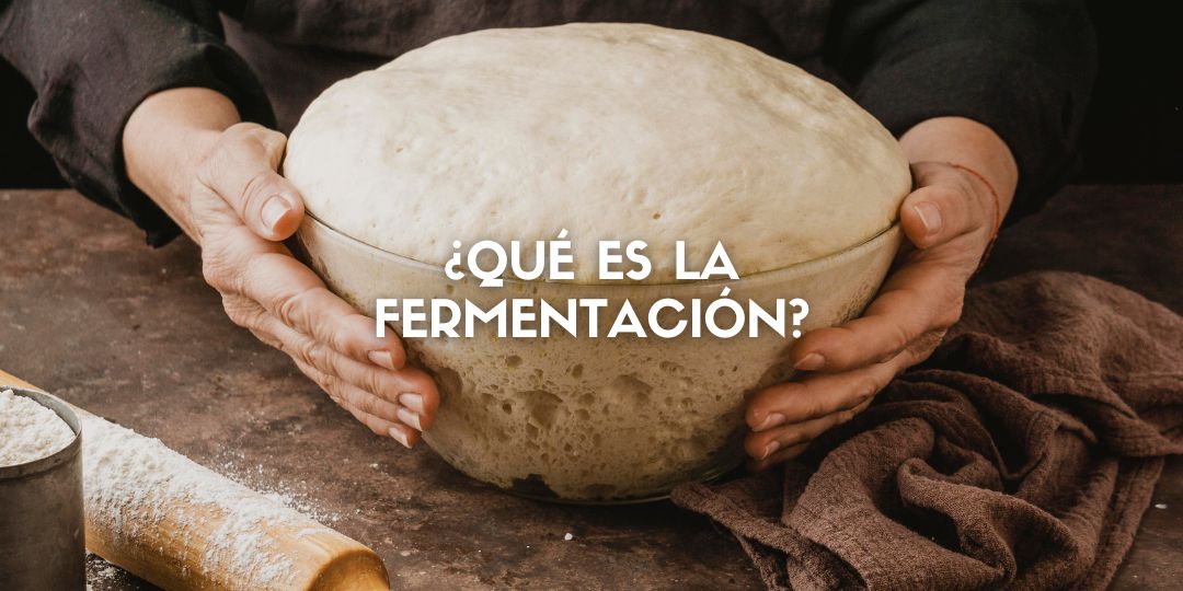 ¿Qué es la fermentación?